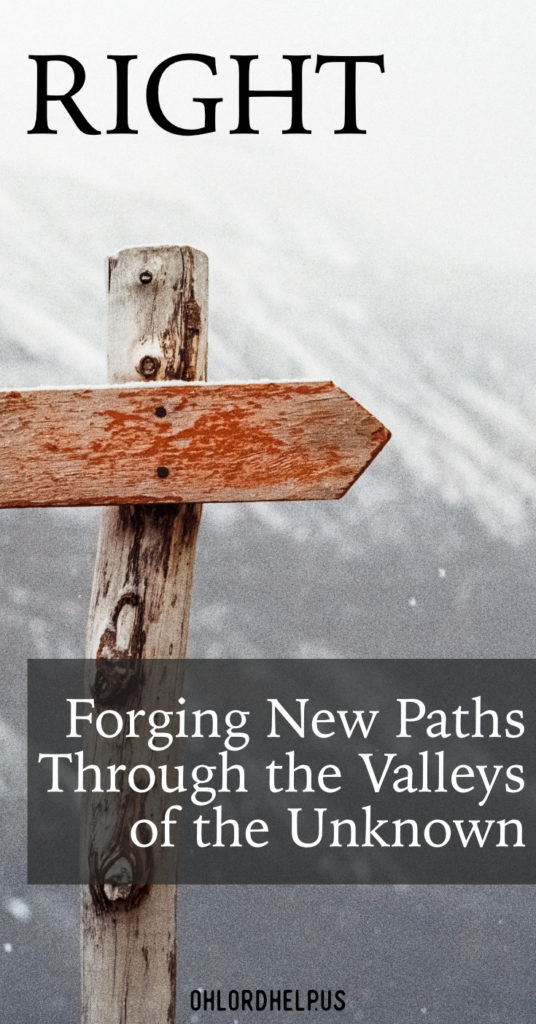 The new year brings excitement and new possibilities, but it also brings a lot of unknown. We struggle with which way is the right way to forge ahead.