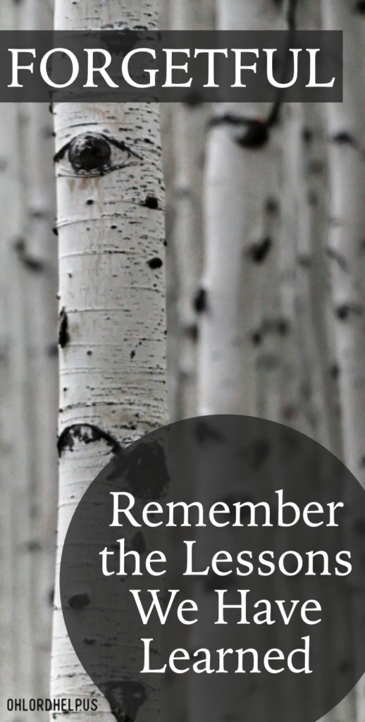 Once we overcome a struggle, we feel like we should never have to go back to relearn it. But we are forgetful people, and it's ok to remember lessons previously learned.
