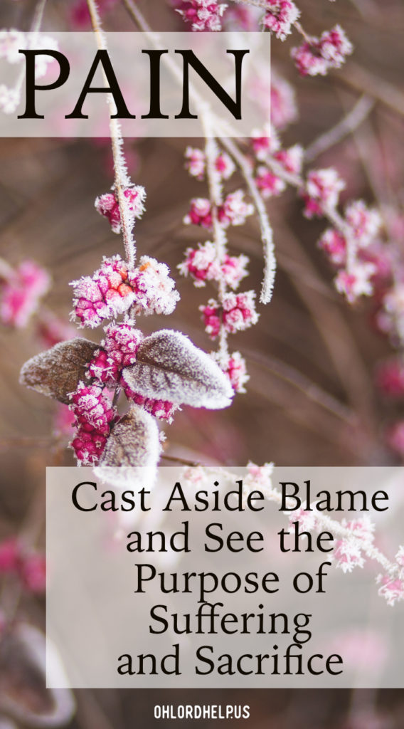Life is full of pain, leaving us wanting to blame something or someone for our suffering. Can there be purpose behind our struggles and sacrifices?