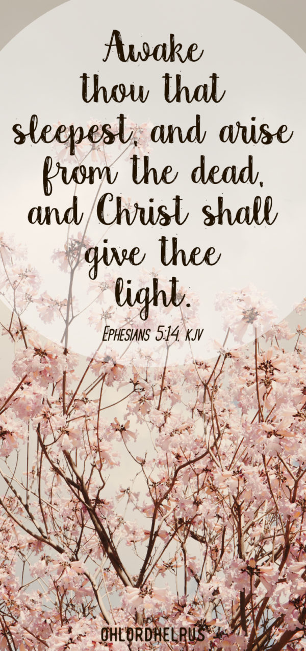 Do you feel the nudging inside you to take action? Do you know what you are to be doing, but fearful to take the next step? You are not alone.