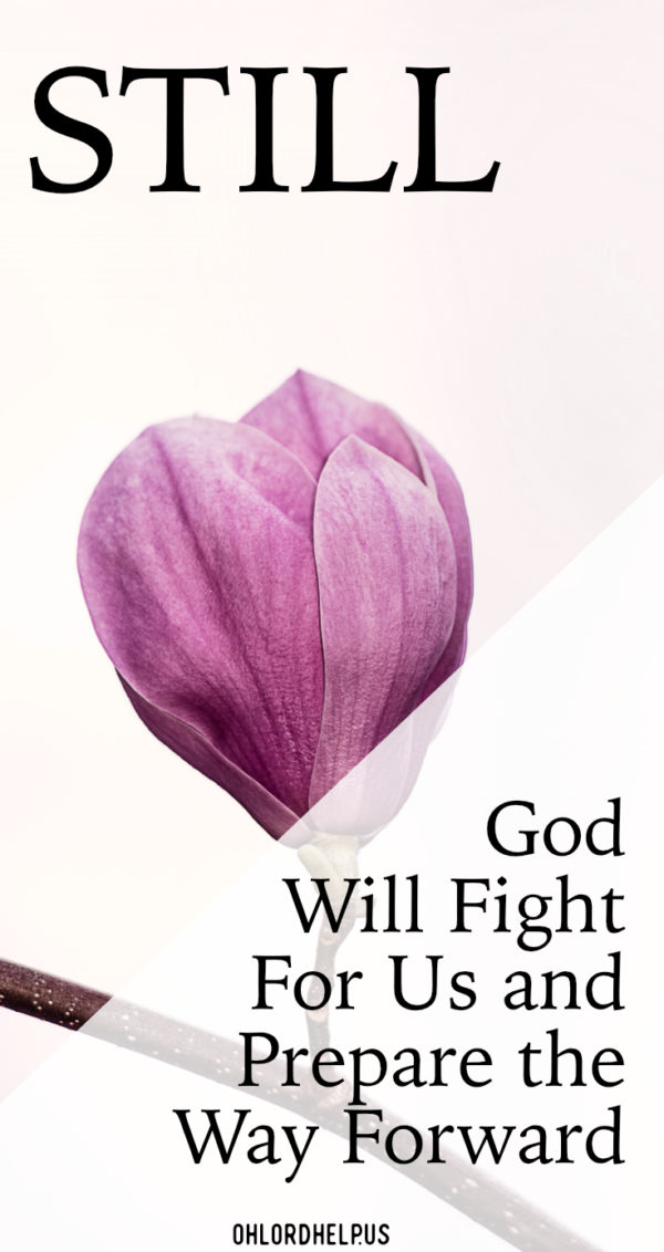 We do not need to be afraid. We are to be still and see the Lord at work, trusting that He will will fight for us and prepare the way forward. #bestill #spiritualbattle #spiritualgrowth