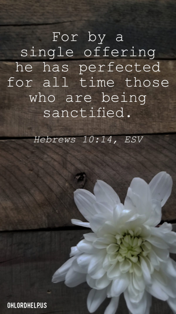 If we could only see ourselves through other people's eyes. Instead of speaking lies over ourselves, we are to speak truth. #truth #lies #freedom
