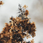 temporary, eternal, investment, focus