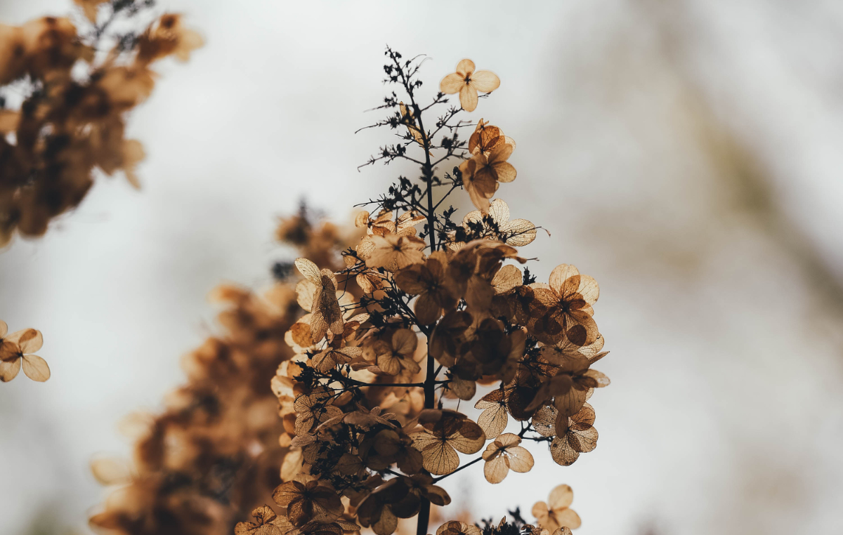 temporary, eternal, investment, focus