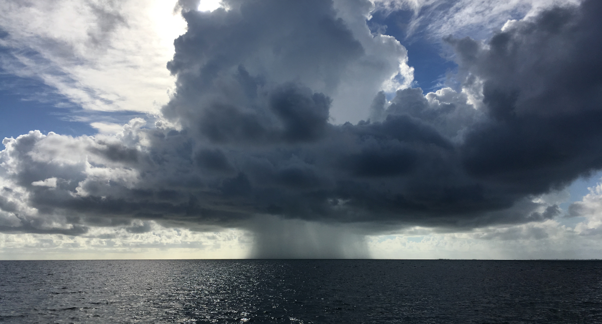 brave, courage, courageous, tribulation, suffering, despair, peace