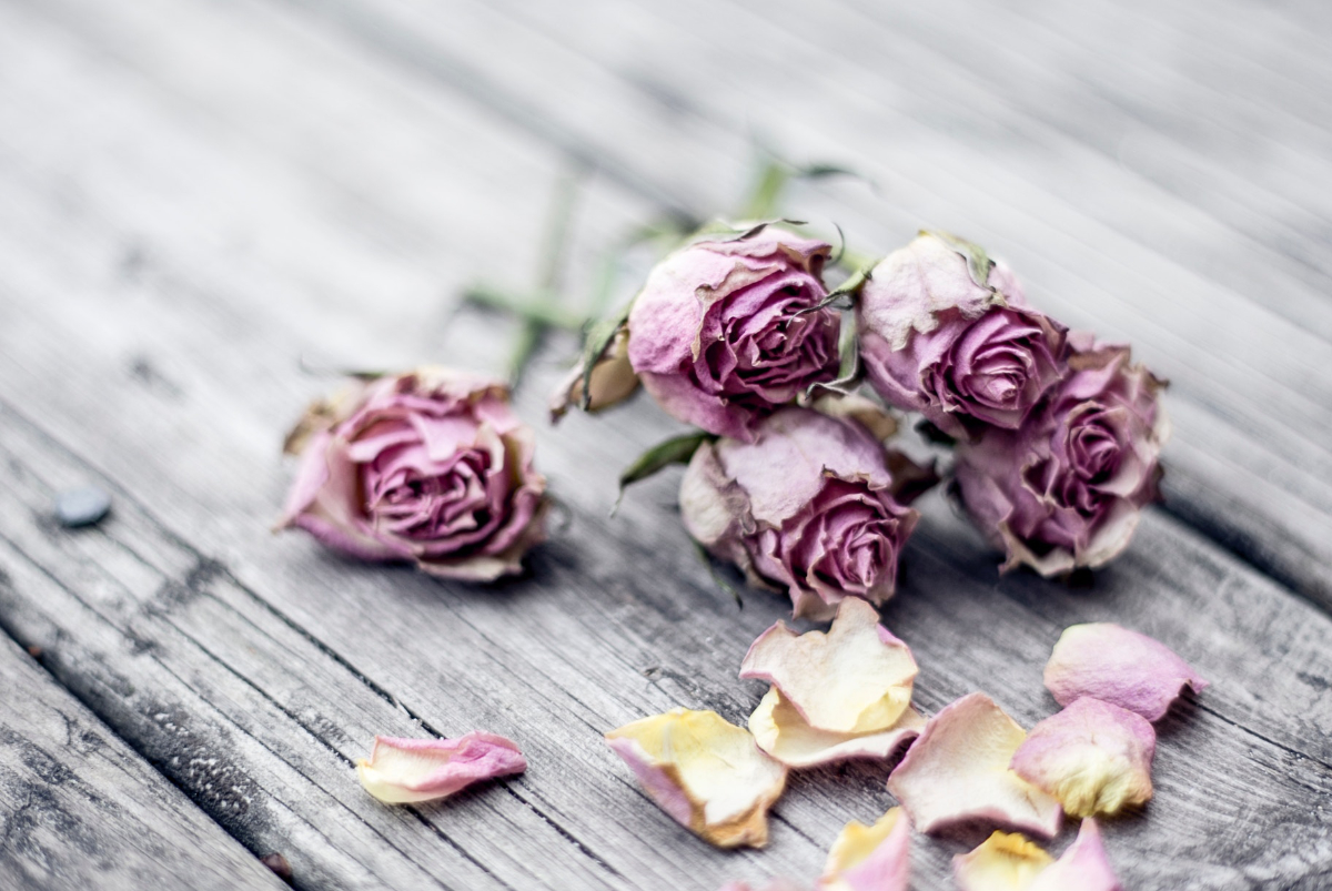 forgive, forgiveness, pain