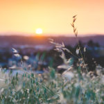 purpose, mundane, joyful