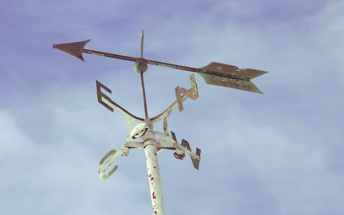 vision, dreams, bold