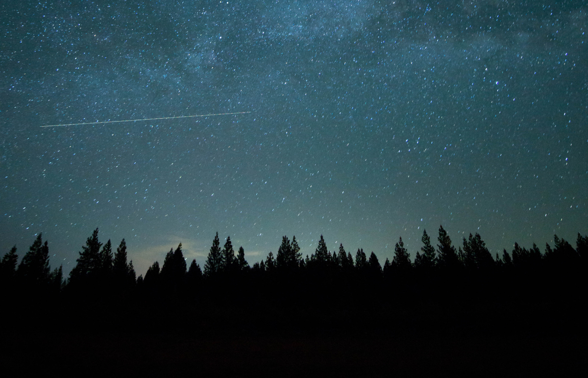 respond, last days, tragedy, truth