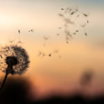 freedom, bondage, should, ought