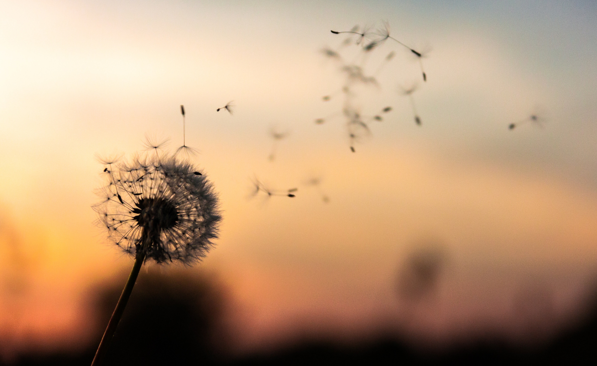 freedom, bondage, should, ought