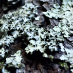 healing, goodness, uncomfortable, redeemed