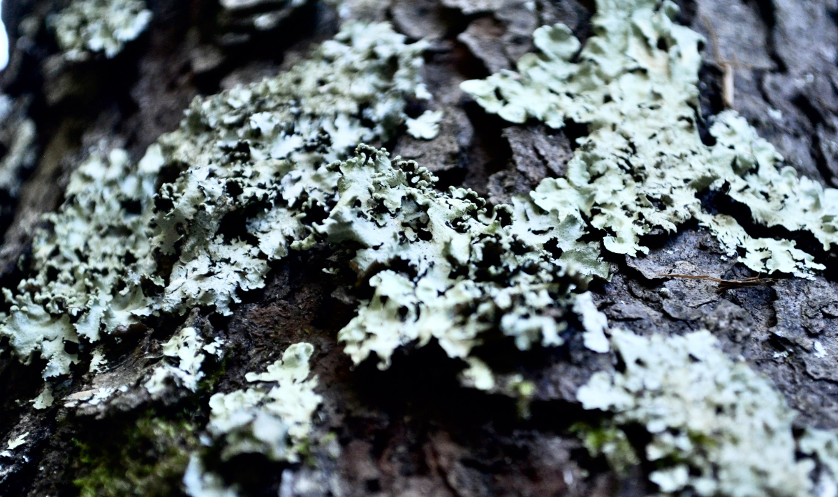 healing, goodness, uncomfortable, redeemed