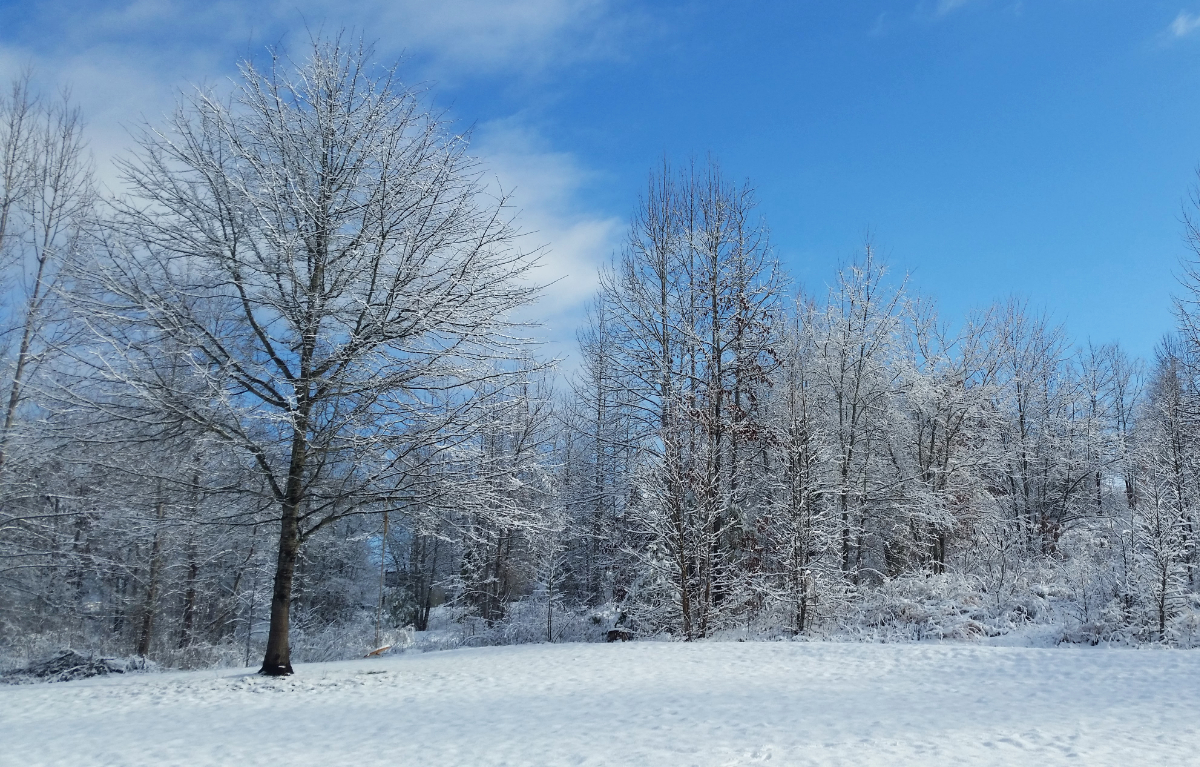 appreciate, provision, sacrifice, gifts