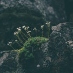 defensive, insecurities