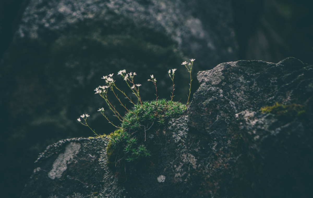 defensive, insecurities