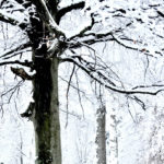 busyness, return, rest