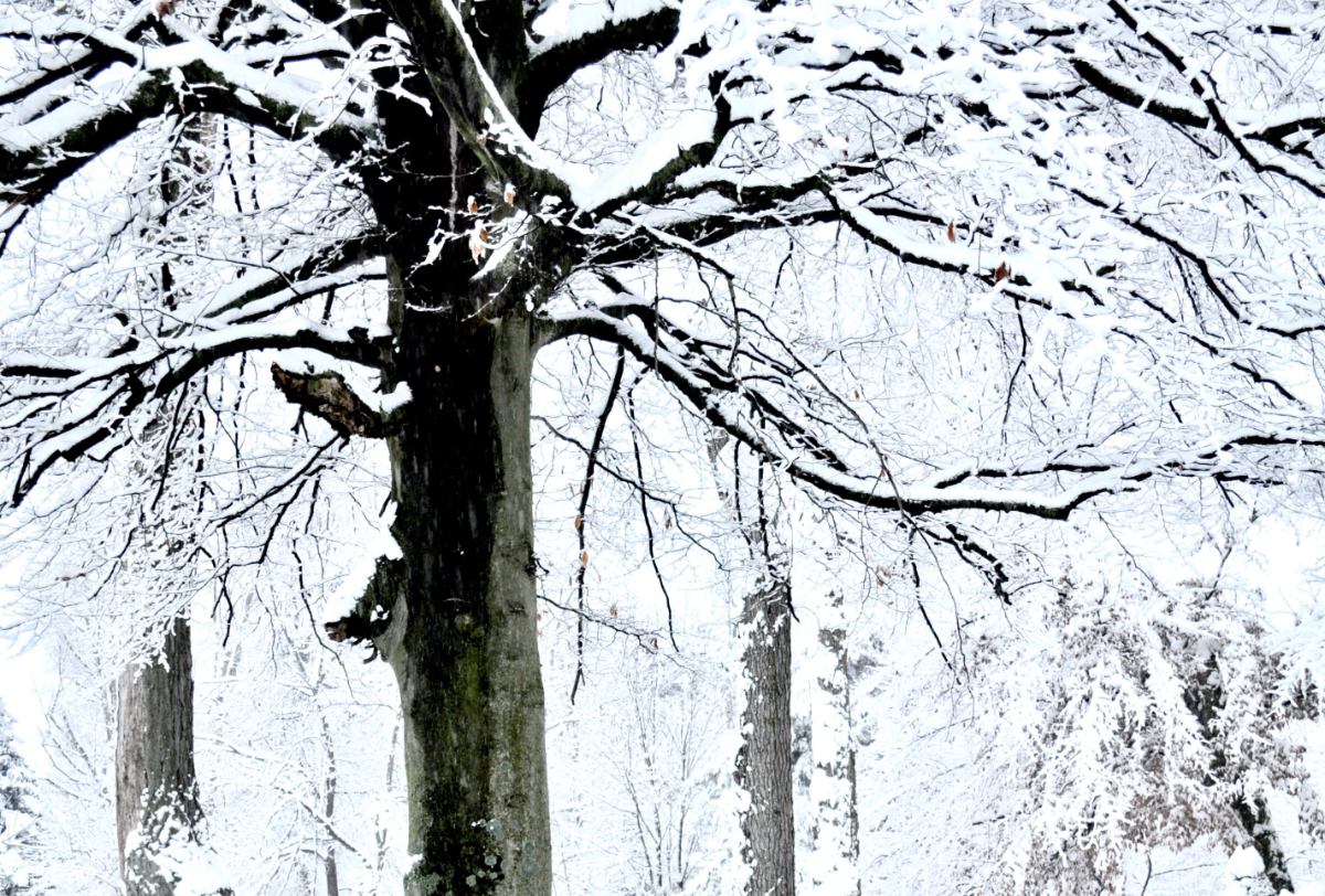 busyness, return, rest