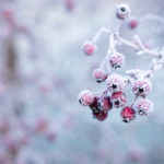 blessings, unexpected, goodness