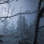 ask, prayer, humility