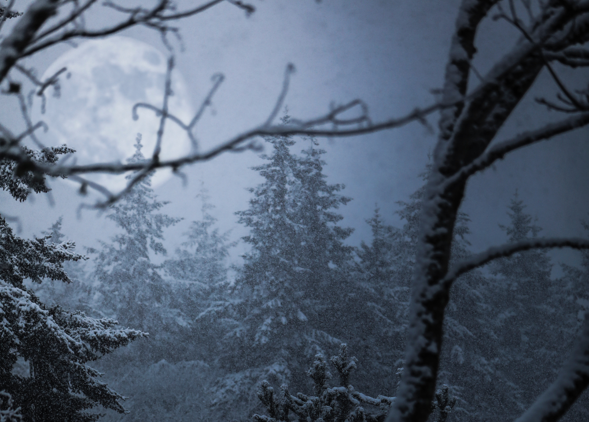 ask, prayer, humility