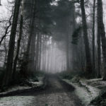 fear, fearless, broken, brokenness