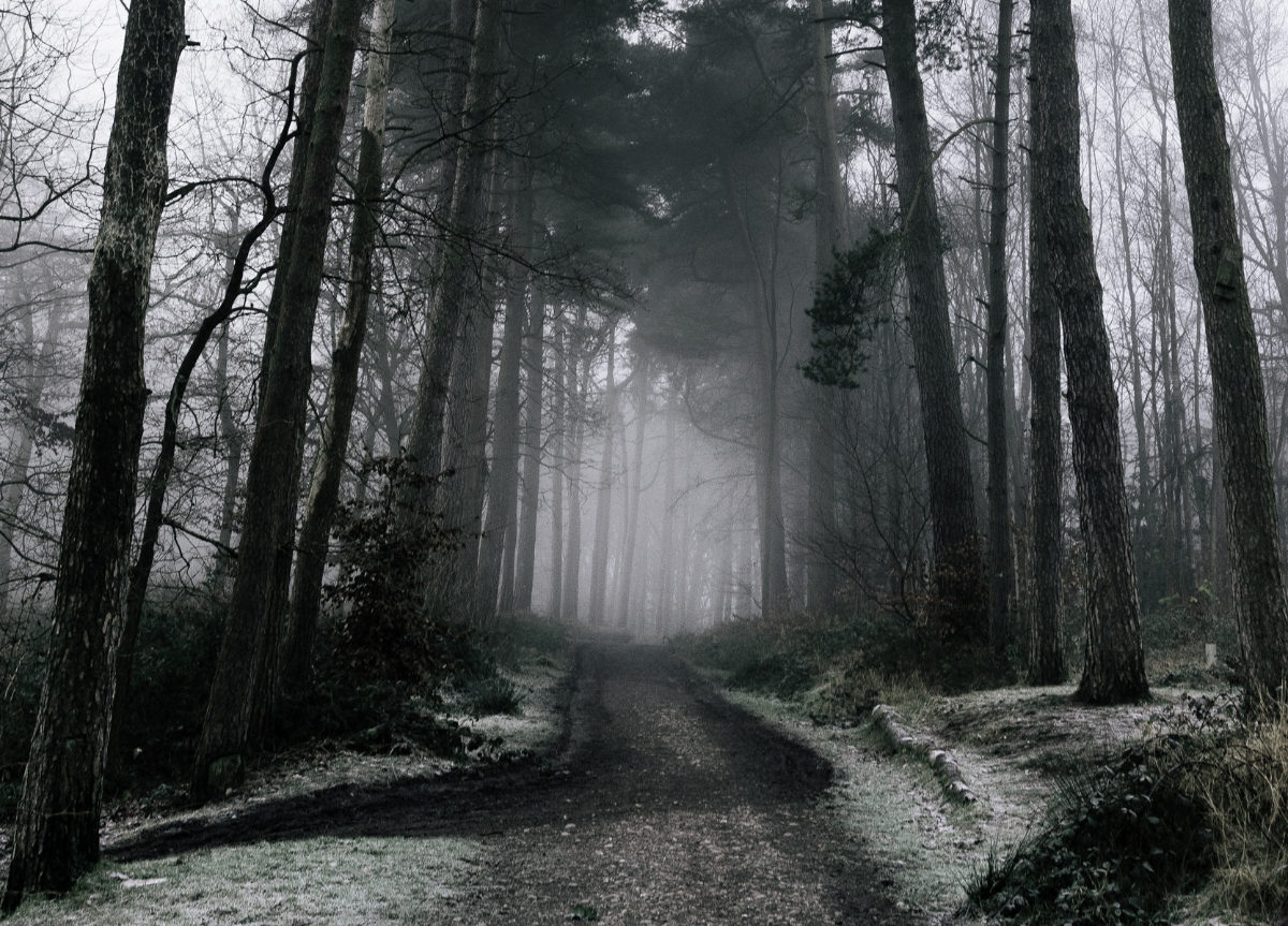 fear, fearless, broken, brokenness