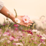 safe, unknown, peace