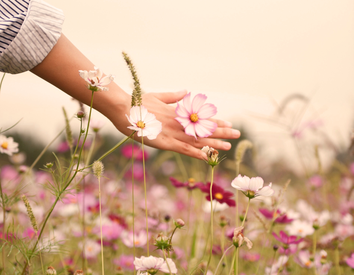 safe, unknown, peace