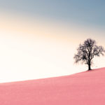 rest, stillness, meditation, Oh Lord Help Us, women, ministry, encouragement