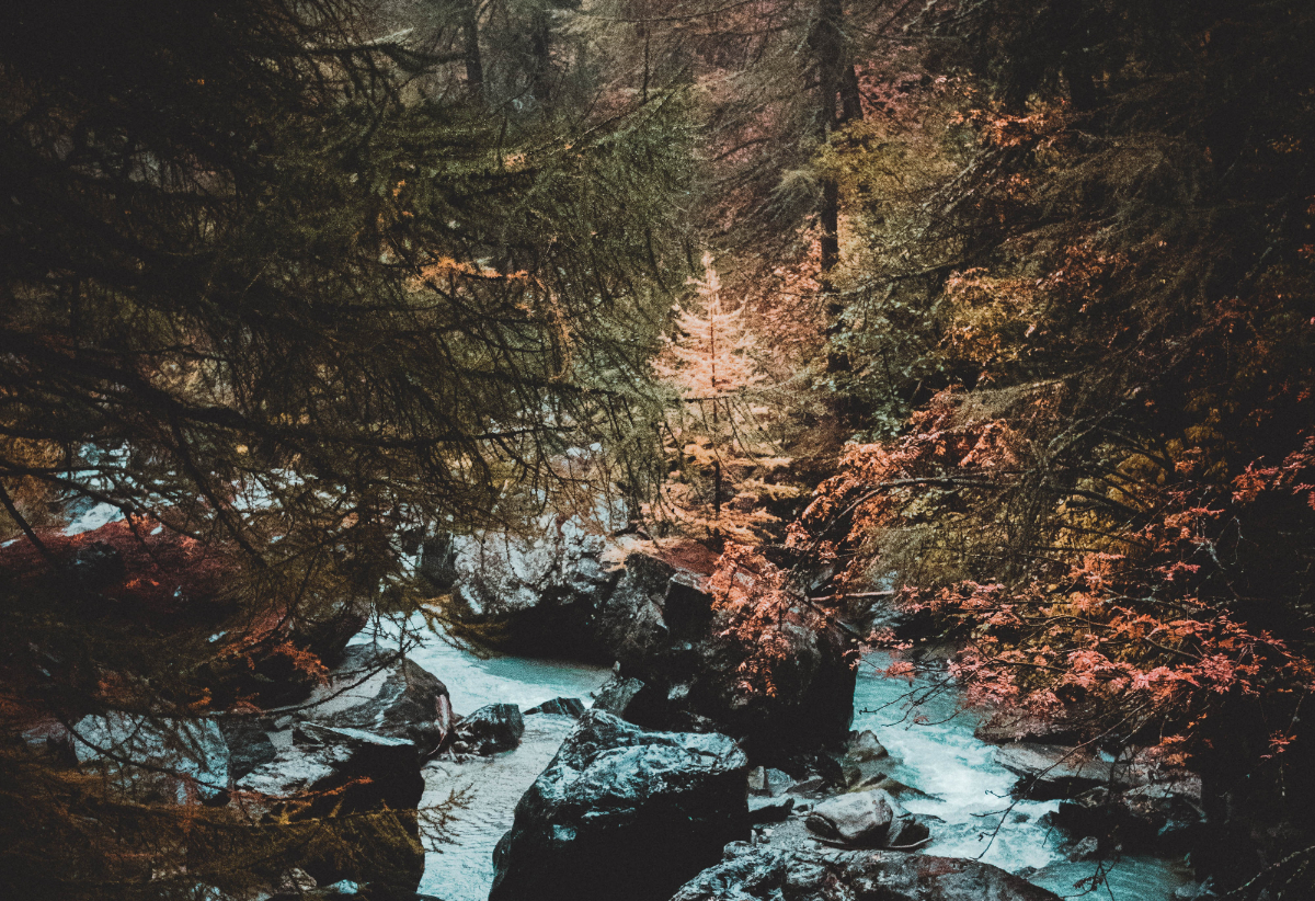 humility, Oh Lord Help Us, Christian, Women, Ministry, encouragement