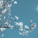 redeemed, broken, christian, women, encouragement