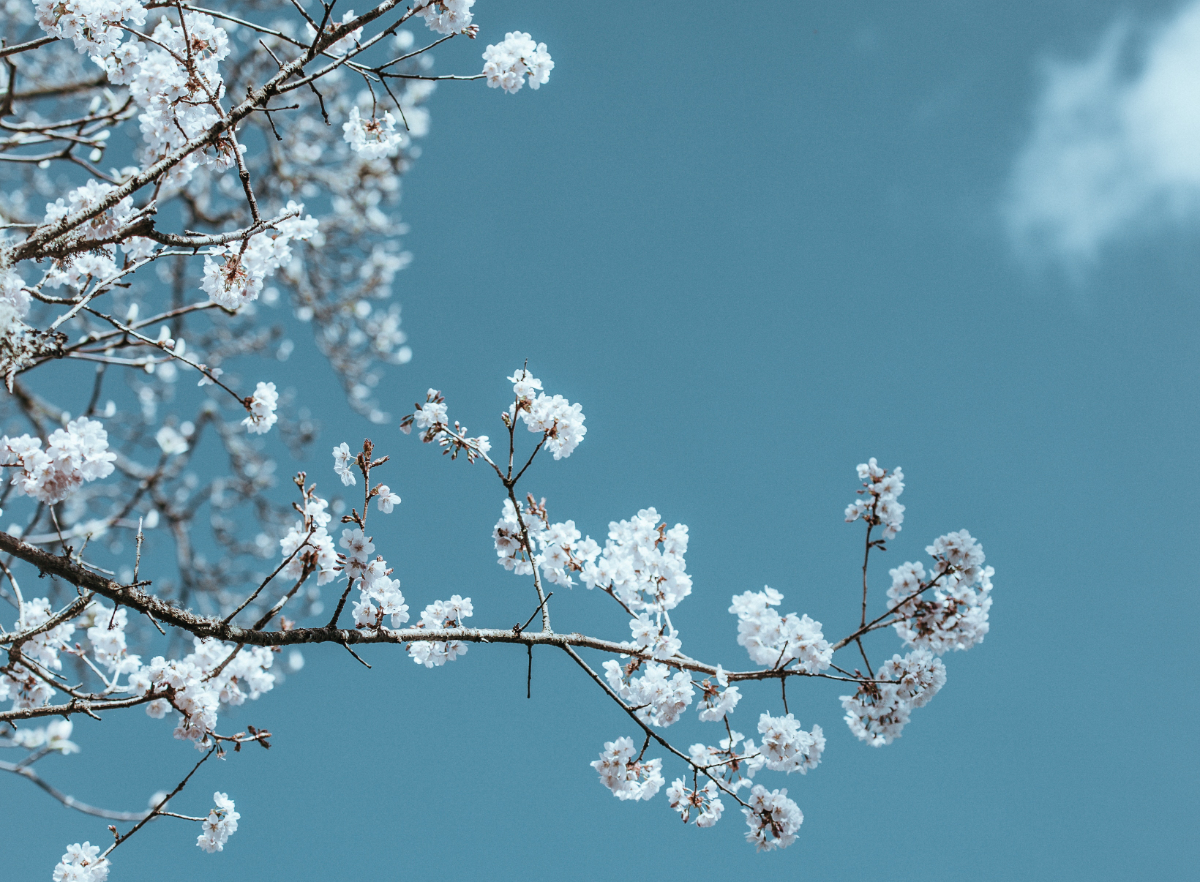 redeemed, broken, christian, women, encouragement