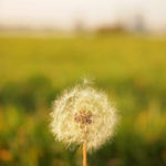 still, quiet, listen, Oh Lord Help Us, women, Christian, ministry