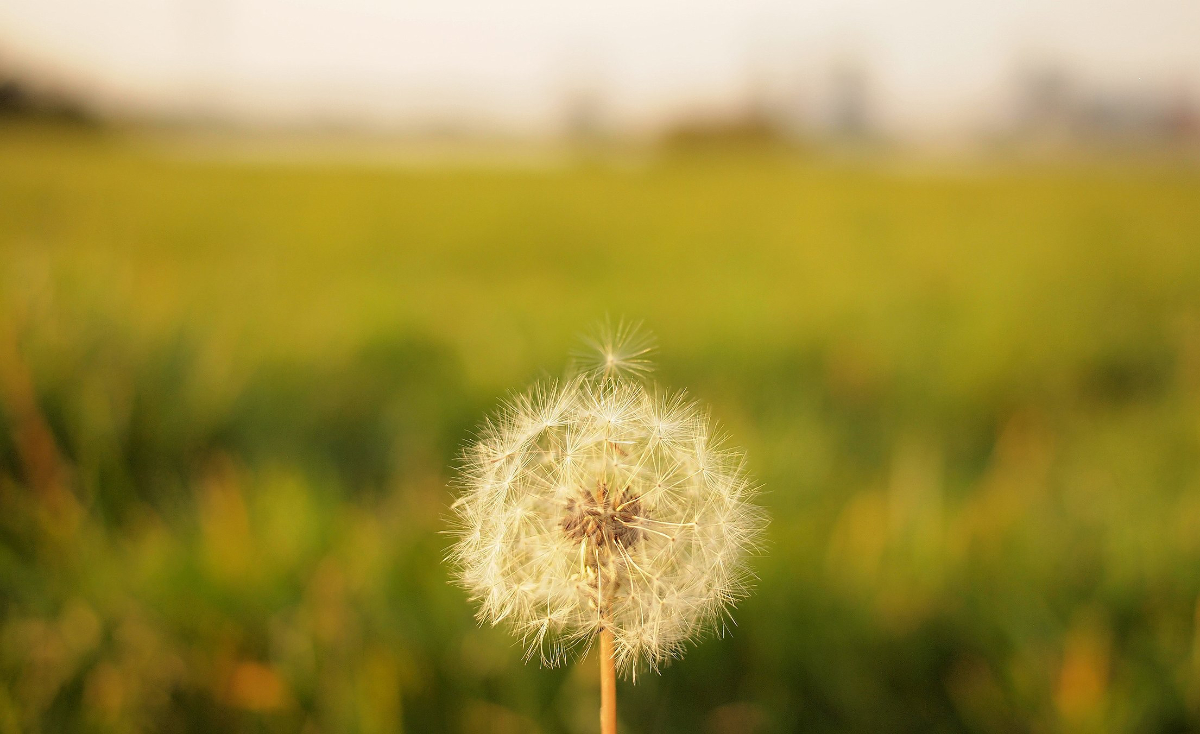 still, quiet, listen, Oh Lord Help Us, women, Christian, ministry