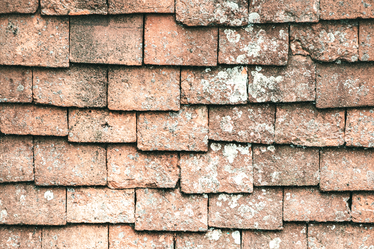 service, useful, servant, Oh Lord Help Us, ministry, Christian, women, encouragement