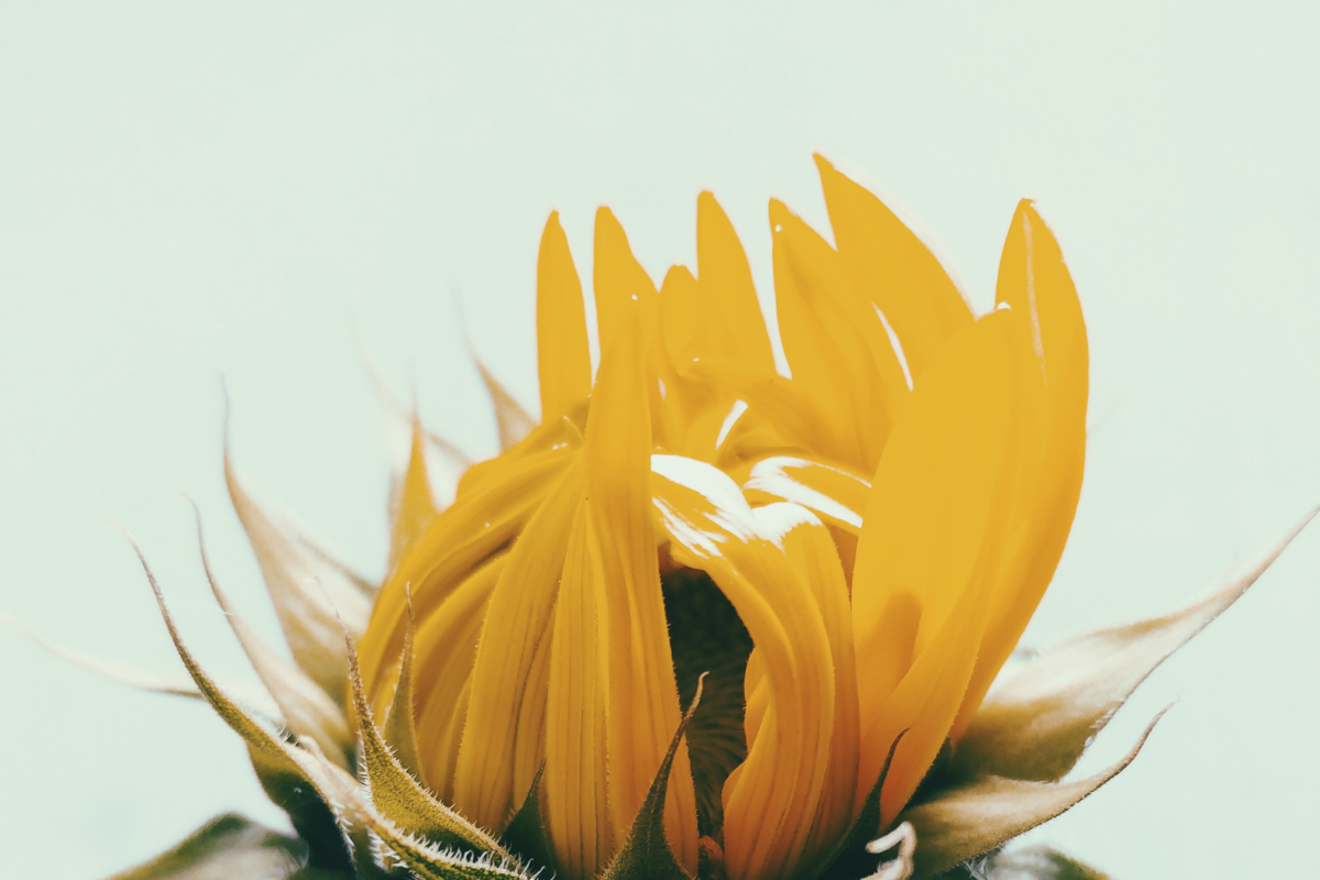 conqueror, victorious, Oh Lord Help Us, Christian, women, ministry