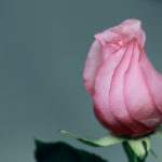 relationship, love, intimacy, Oh Lord Help Us, Christian, women, ministry