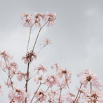 calling, purpose, Oh Lord Help Us, ministry, Christian, women, encouragement