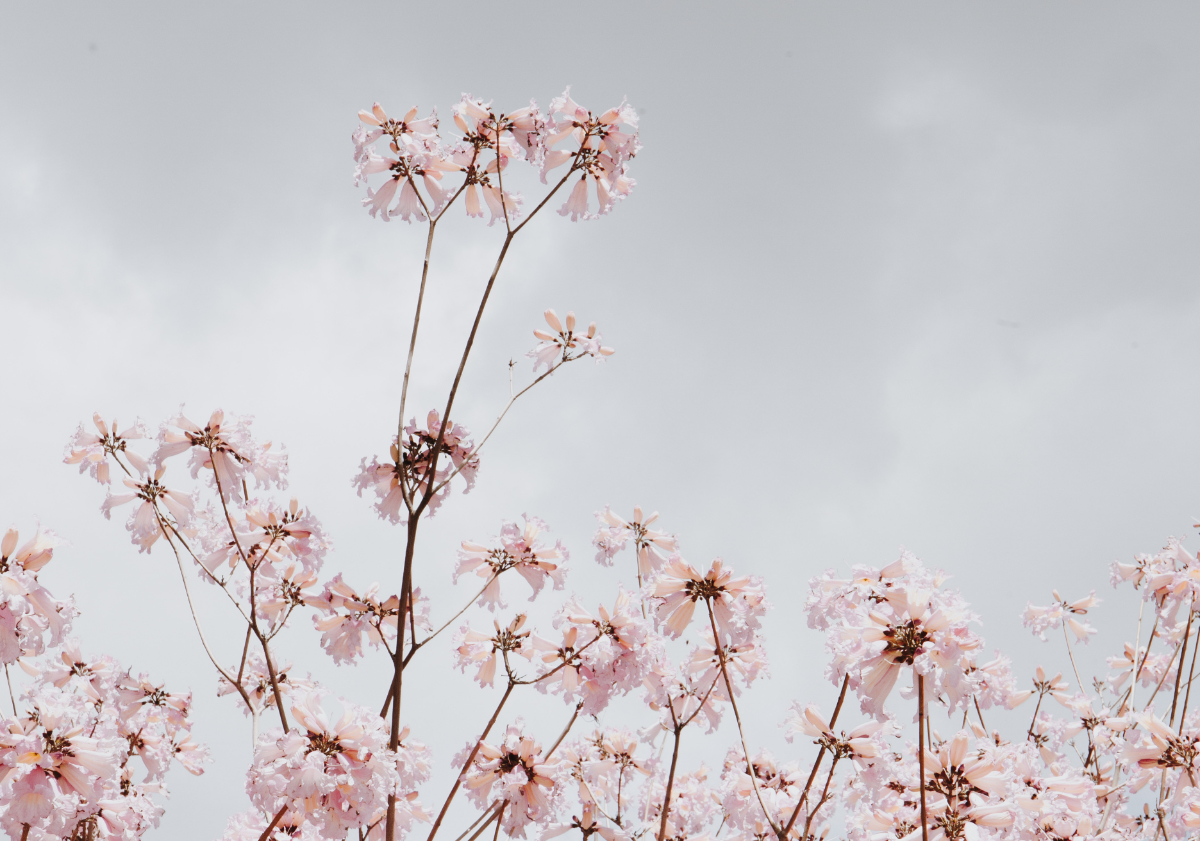 calling, purpose, Oh Lord Help Us, ministry, Christian, women, encouragement