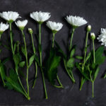 forgiveness, grace, Oh Lord Help Us, Christian, women, ministry