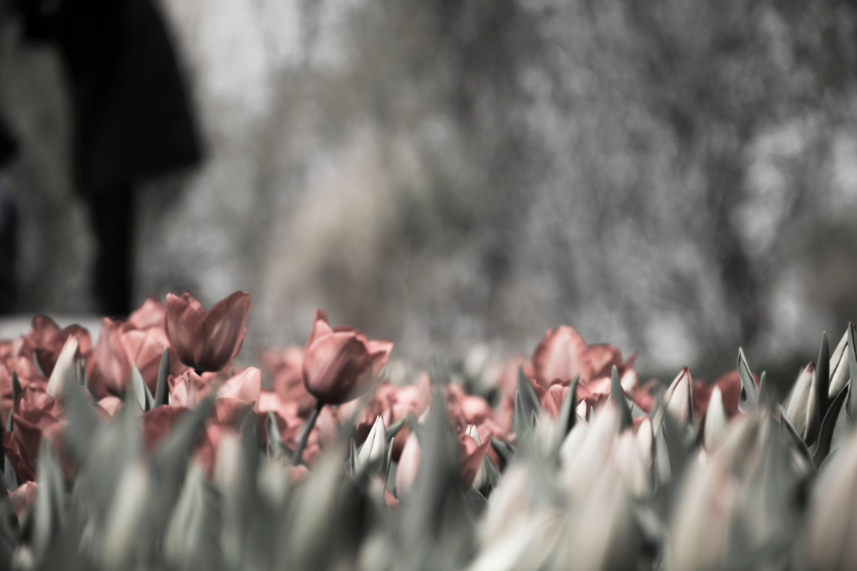 failure, grace, Oh Lord Help Us, Christian, women, ministry