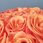 repentance, conviction, condemnation, Oh Lord Help Us , Christian, women, ministry, scripture