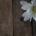 truth, lies, freedom, Oh Lord Help Us, Christian, women, ministry