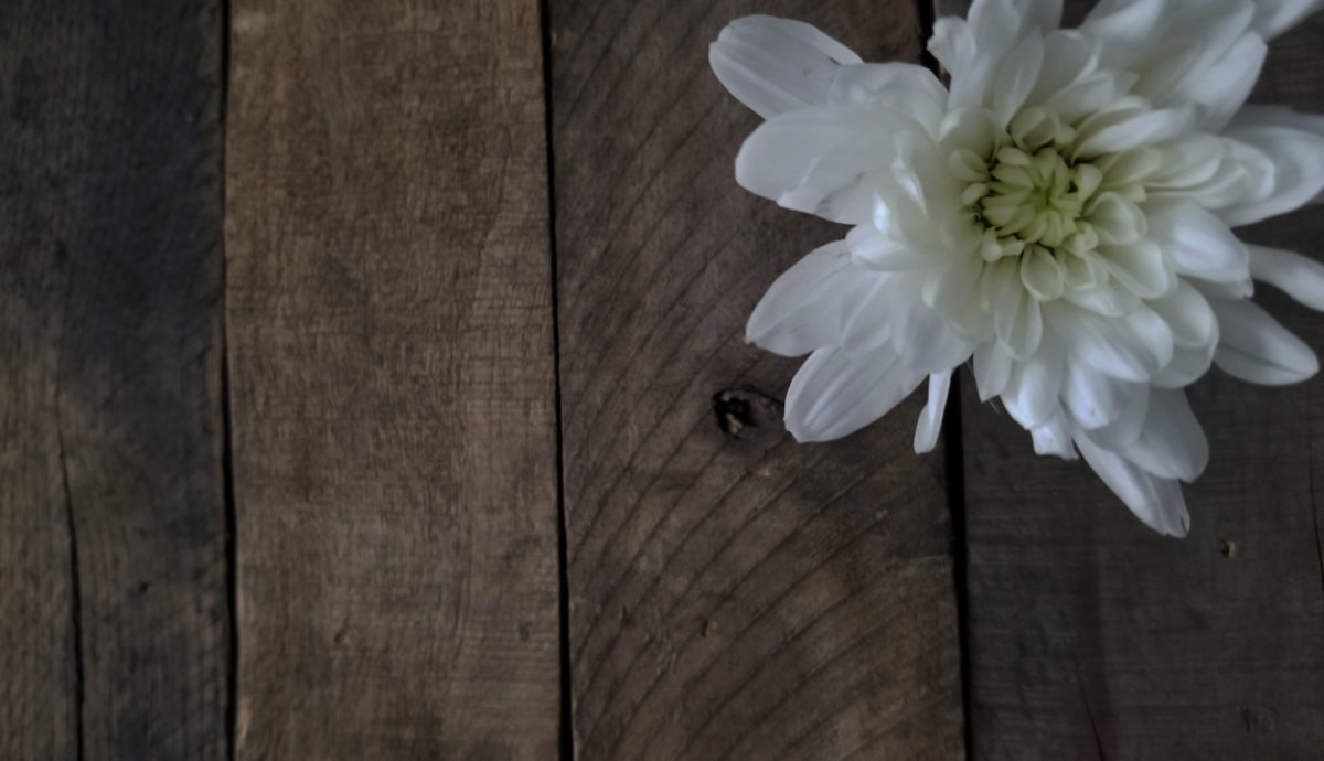 truth, lies, freedom, Oh Lord Help Us, Christian, women, ministry