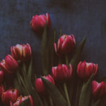 gratitude, humility, humble, Oh Lord Help Us, Christian, ministry