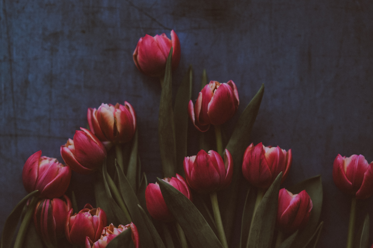 gratitude, humility, humble, Oh Lord Help Us, Christian, ministry