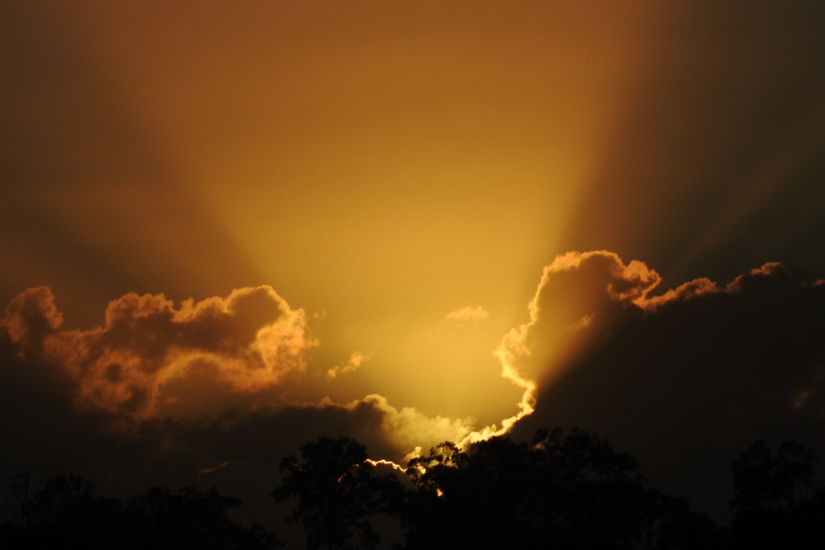 reckless, love, Oh Lord Help Us, Christian, women, ministry