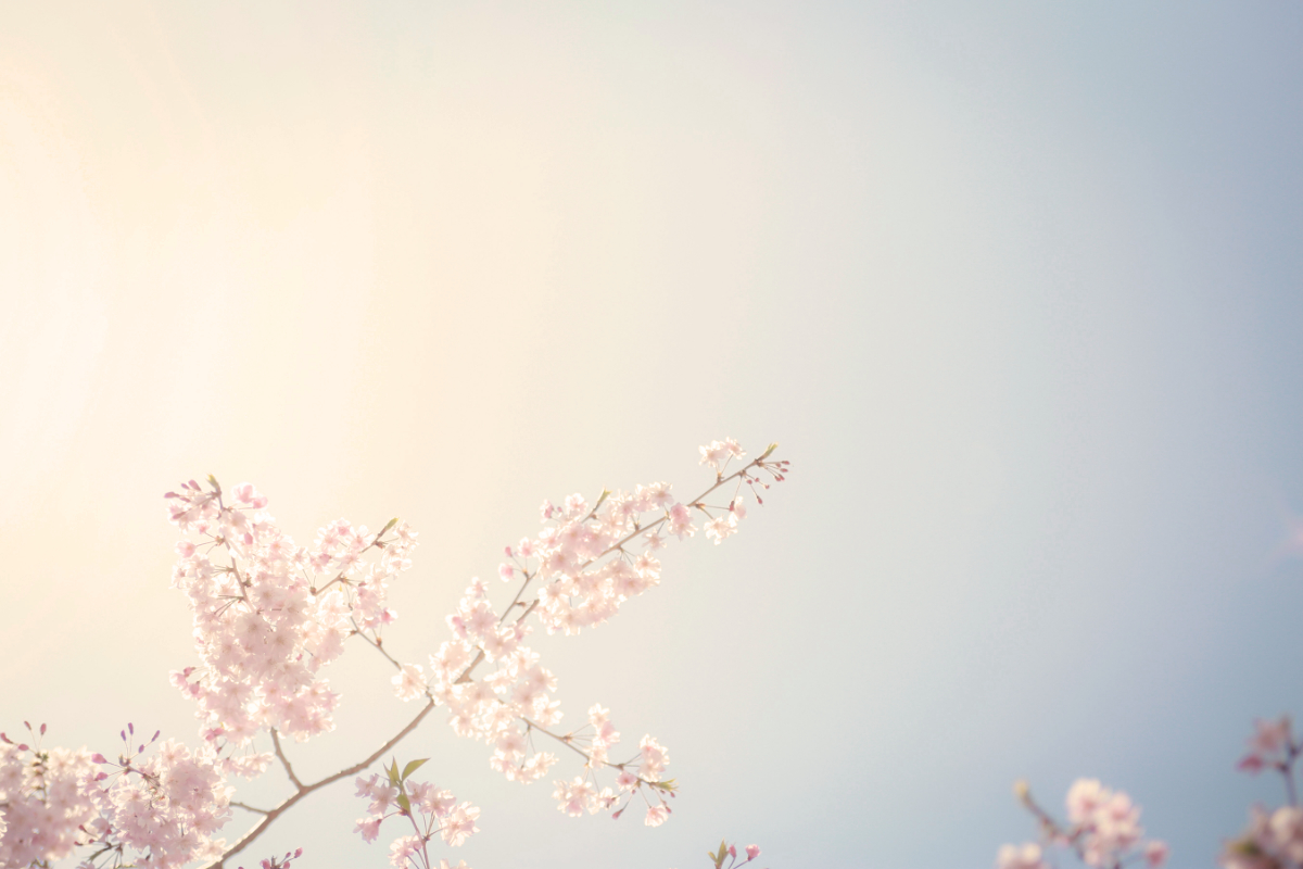 cleansing, forgiveness, Oh Lord Help Us, spiritual growth, women of faith, Christian mentoring