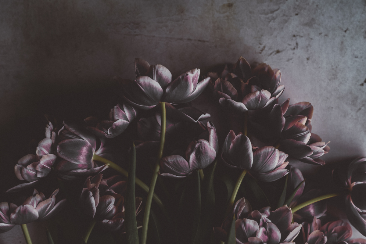 Oh Lord Help Us, Christian, women, faith, brokenness, healing, darkness, light, prayer, scripture